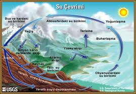 Минерализация воды и минеральные воды минерализация воды
