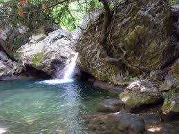 Родниковая вода родниковая вода